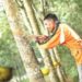 Regulasi Tata Niaga Karet di Jambi Diawasi KPPU