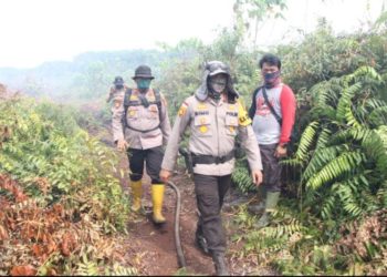 Lahan Terbakar di Bengkalis Capai 200 Hektare