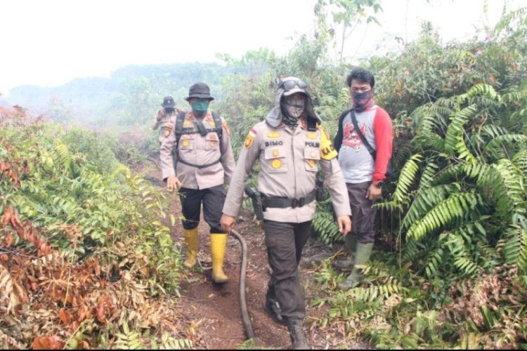 Lahan Terbakar di Bengkalis Capai 200 Hektare