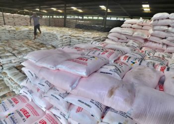 Skandal Pupuk Ilegal: Tiga Tersangka Ditahan, Ratusan Karung Pupuk Disita