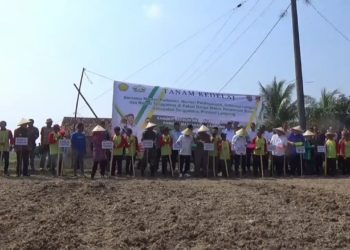 Mendag Rusumuskan Harga Jual Kedelai Rp15 Ribu/Kg