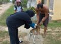 Dinakkan Kabupaten Siak Tangani 6 Korban Gigitan Hewan Penular Rabies