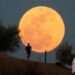 Tempat Terbaik Menikmati Keindahan Supermoon 2024