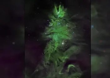 NGC 2264: Gugus Bintang Muda Berbentuk Pohon Natal yang Memukau