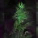 NGC 2264: Gugus Bintang Muda Berbentuk Pohon Natal yang Memukau