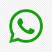 Fitur Terbaru WhatsApp 2025: Tema Obrolan, Kontak Favorit, dan Transkripsi Pesan Suara