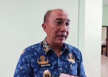 Produk Lokal Jadi Kunci Stabilisasi Harga Pangan di Lampung