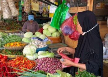 Harga Bahan Pokok di Lampung Naik pada September 2025: Beras, Minyak, hingga Daging