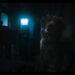 Good Boy: Film Horor Rumah Berhantu dari Perspektif Anjing yang Unik