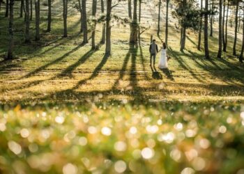 Tren Foto Pasangan AI: Ciptakan Potret Romantis dengan Gemini AI